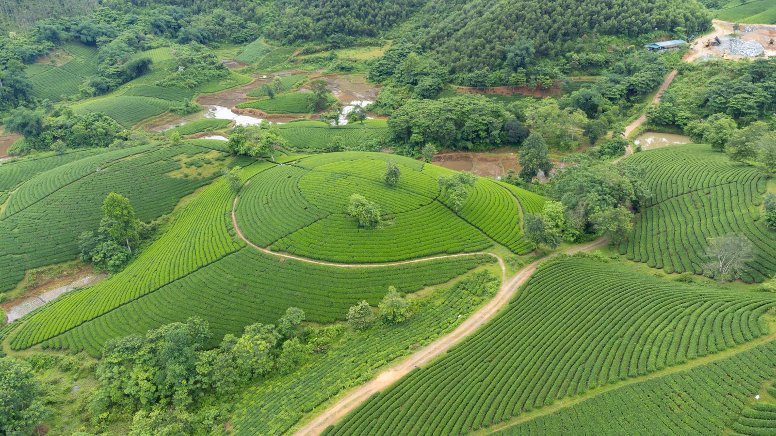 Aerial View of Croplands · Free Stock Photo