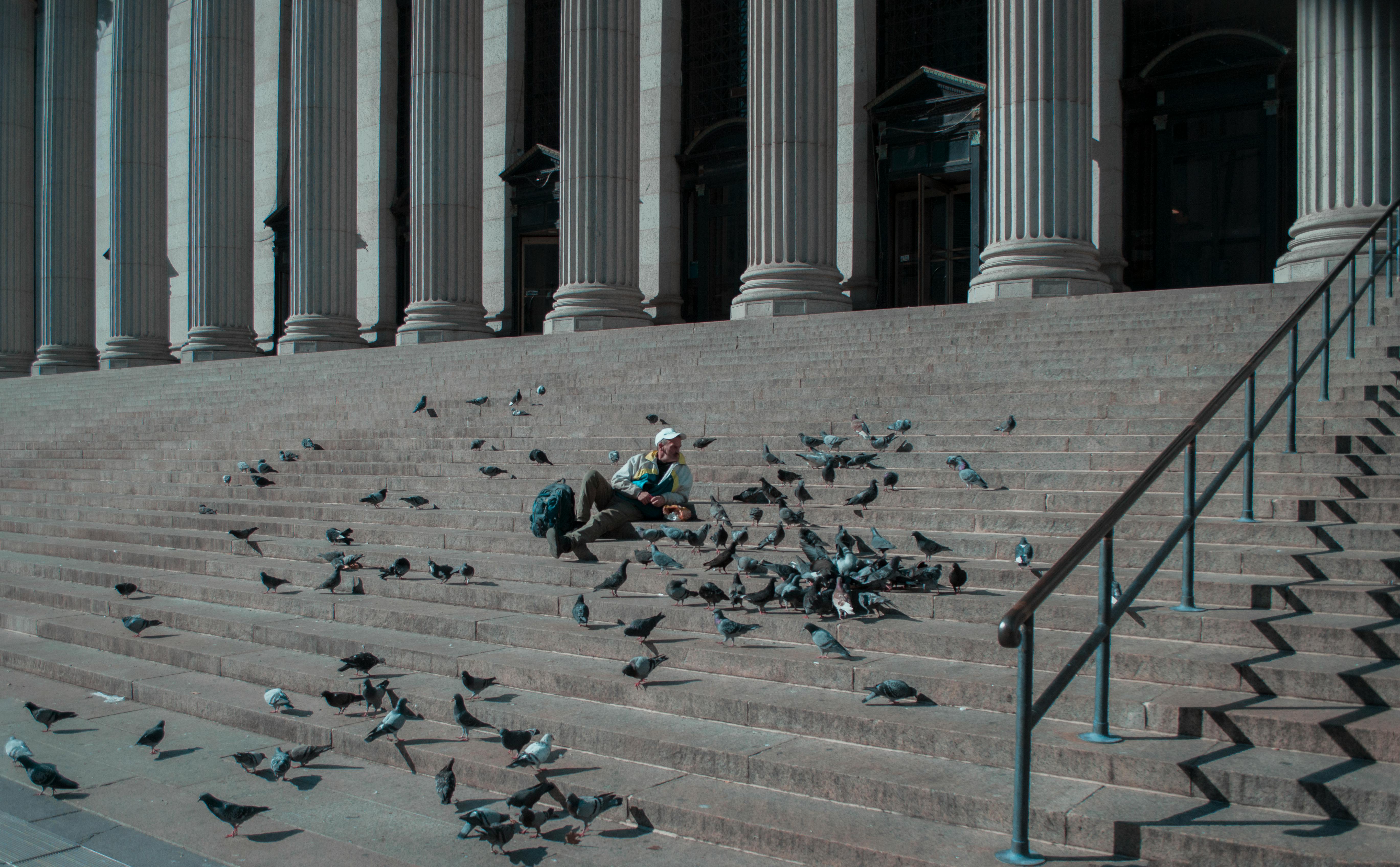 A man surrounded by pigeons relaxes on iconic steps in New York City.