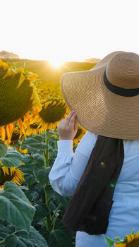 Woman with sun hat enjoys sunset surrounded by blooming sunflowers.