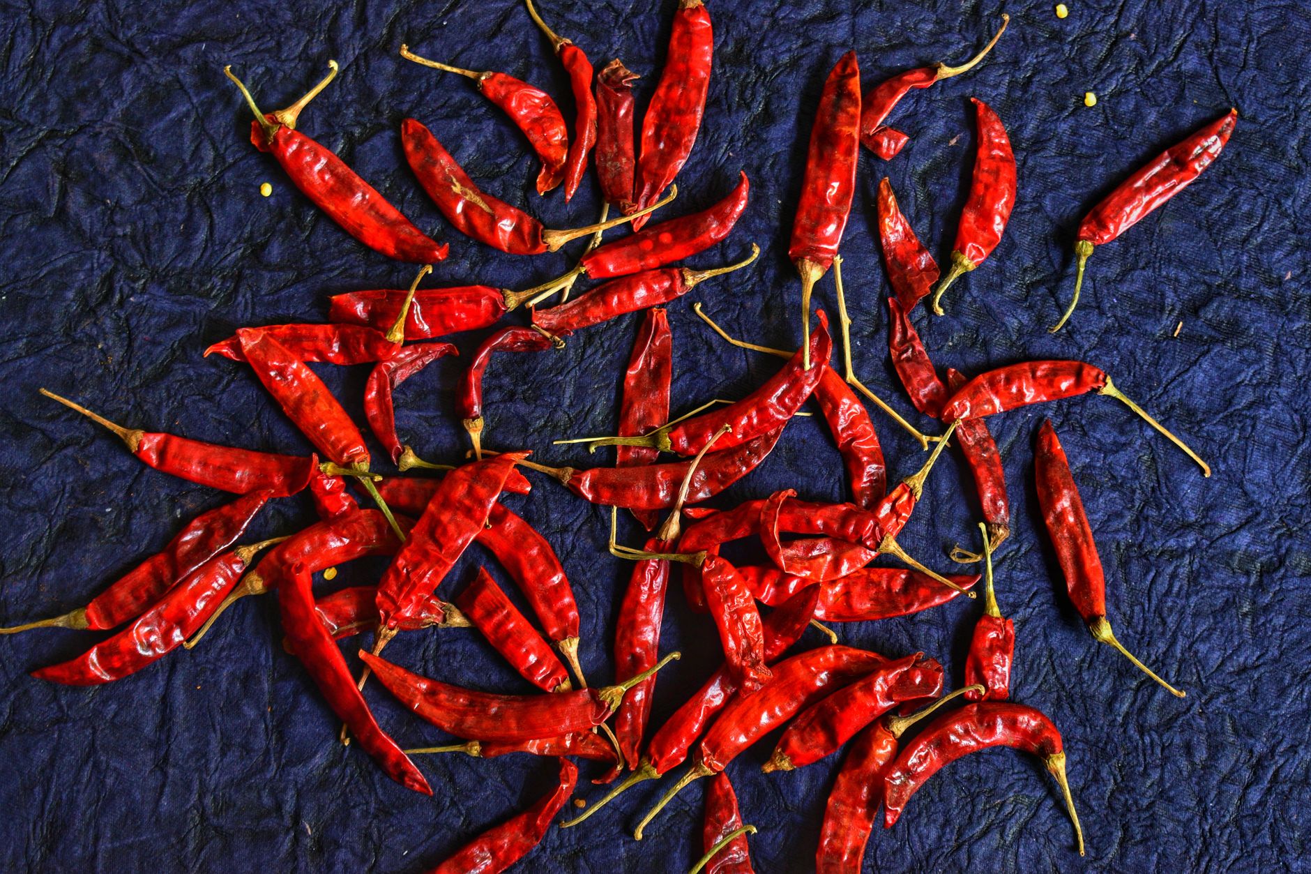 Jar of chili crisp and small bowl of sauce surrounded by fresh chili peppers