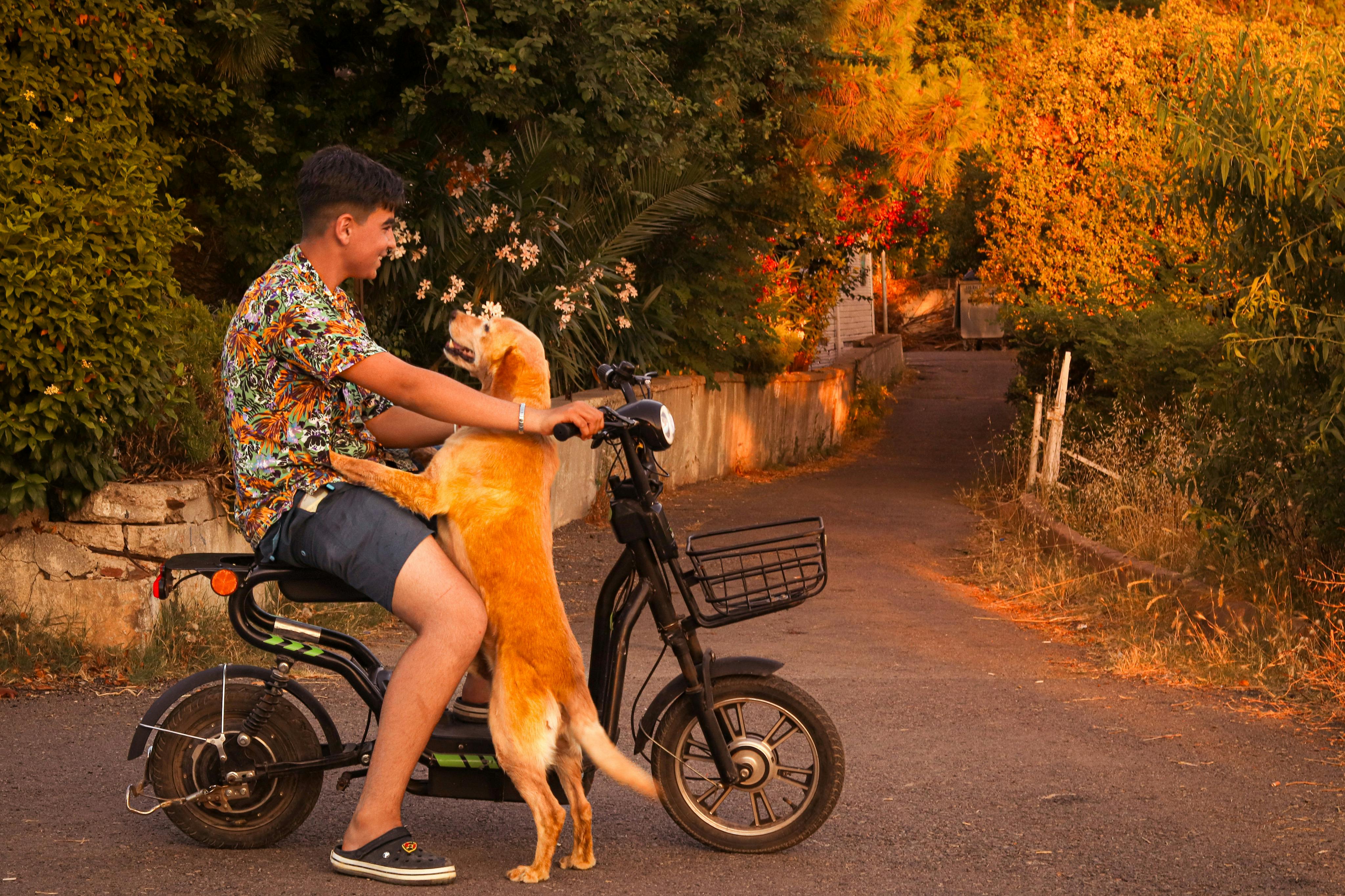 NIU’s scooter-sized electric microcar is actually headed for production — Photo by Roza on Pexels