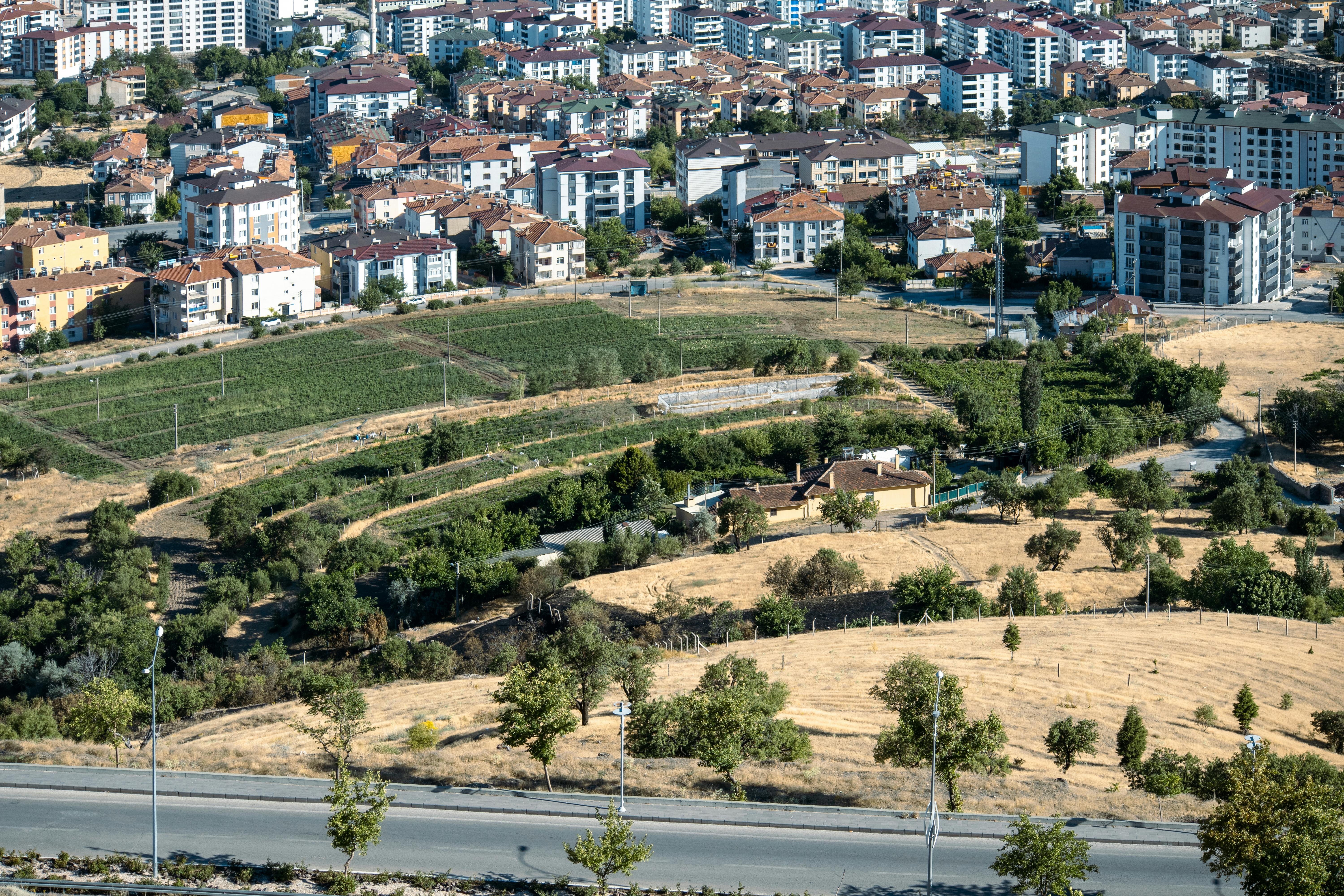 Türkiye’de Görülen İklim Tipleri ve Bitki Örtüsü Özellikleri