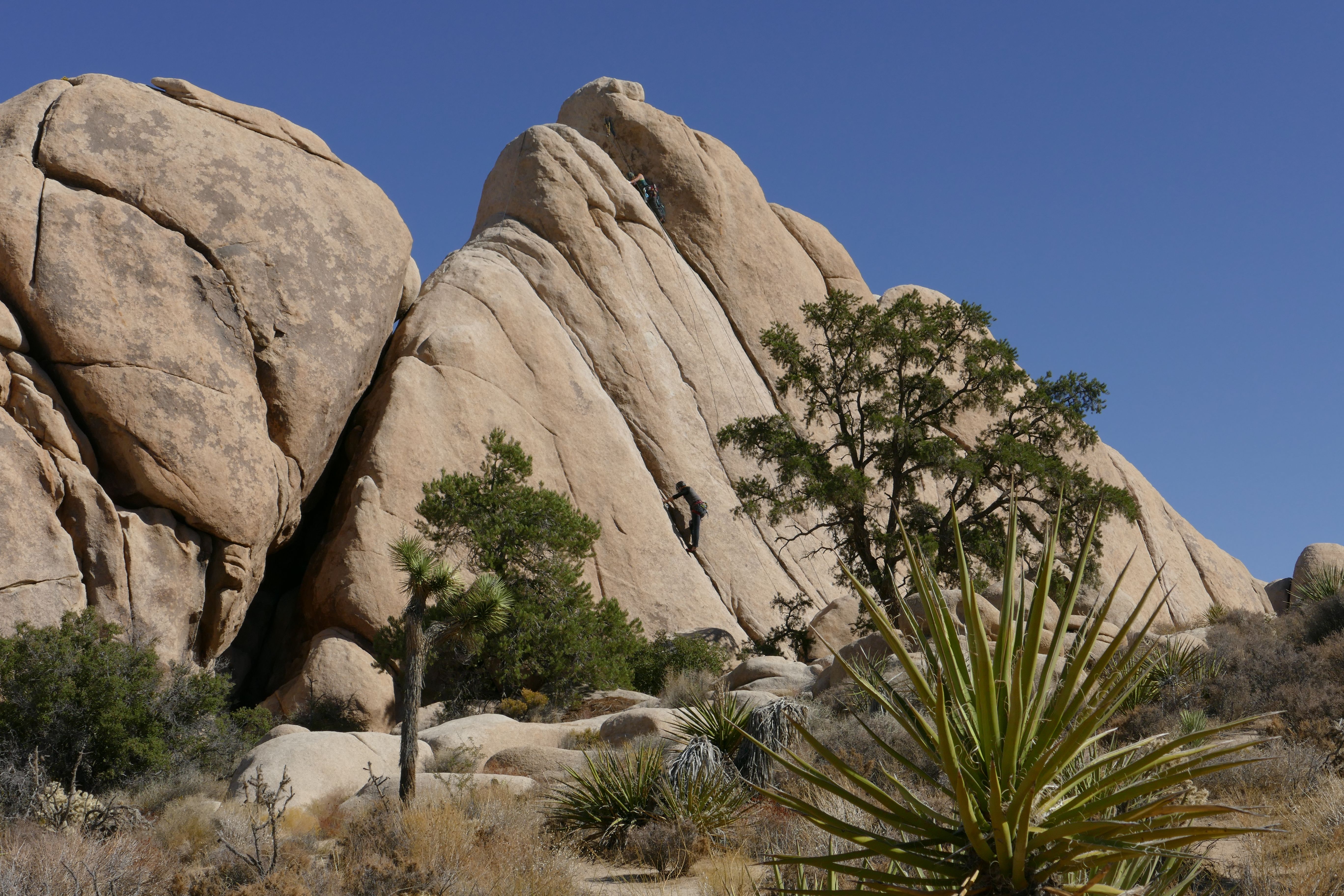 Adventure rock climbing on boulders in sunny Joshua Tree National Park, California.