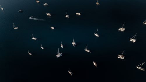 Free Aerial photo of numerous sailboats and yachts scattered on a tranquil sea surface. Stock Photo