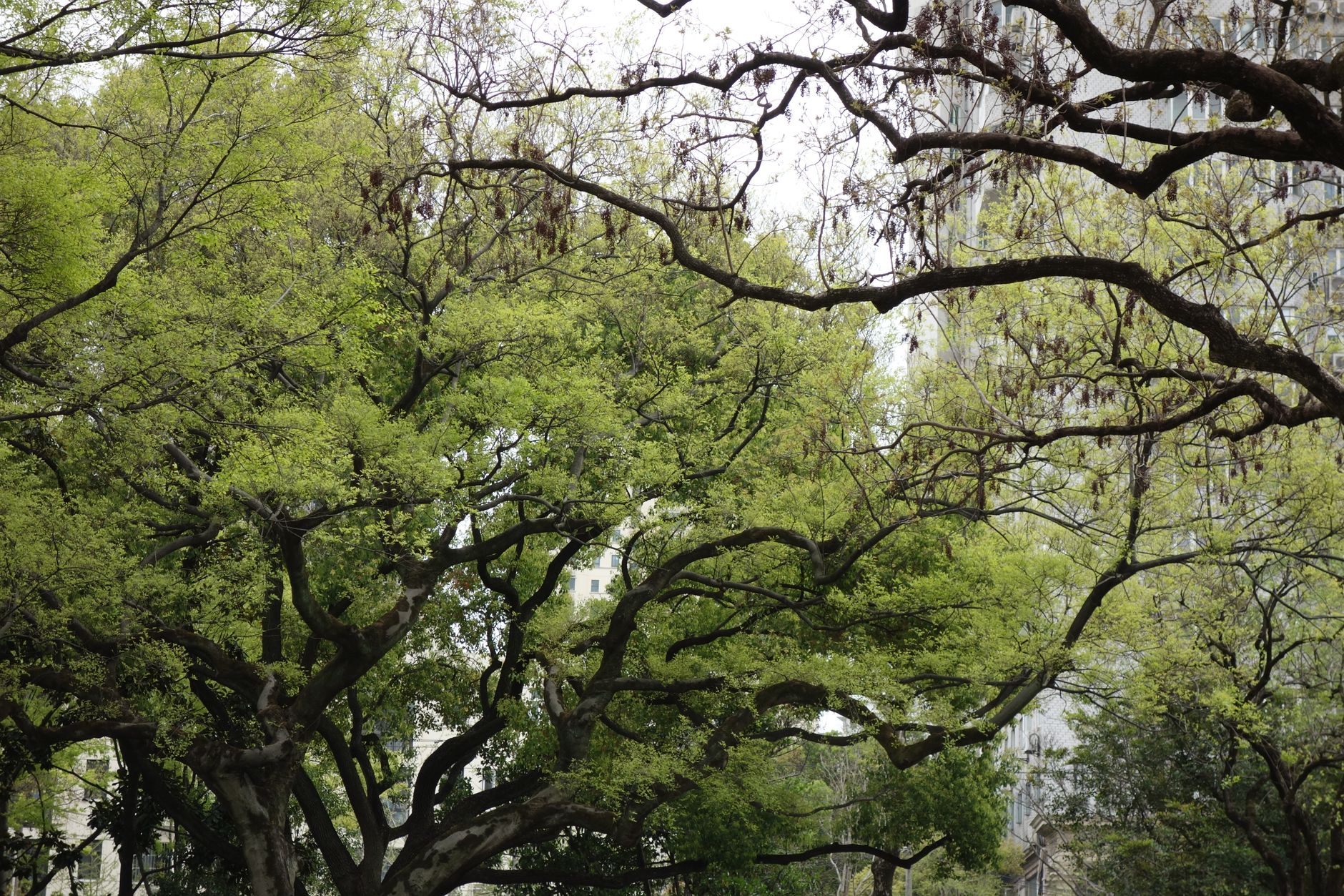Ambiente & Verde