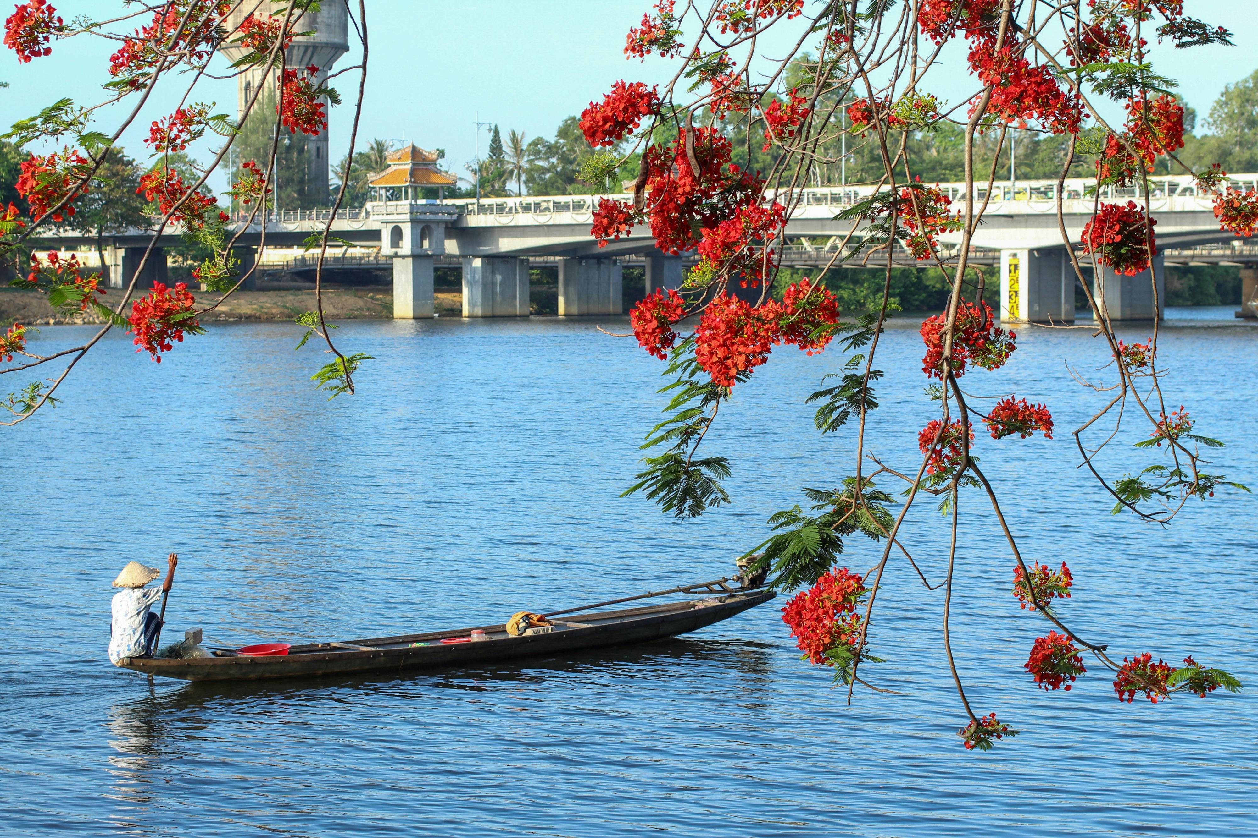 Cẩm nang du lịch Cù Lao Xanh. 529 – cam nang du lich, du lich mien trung.