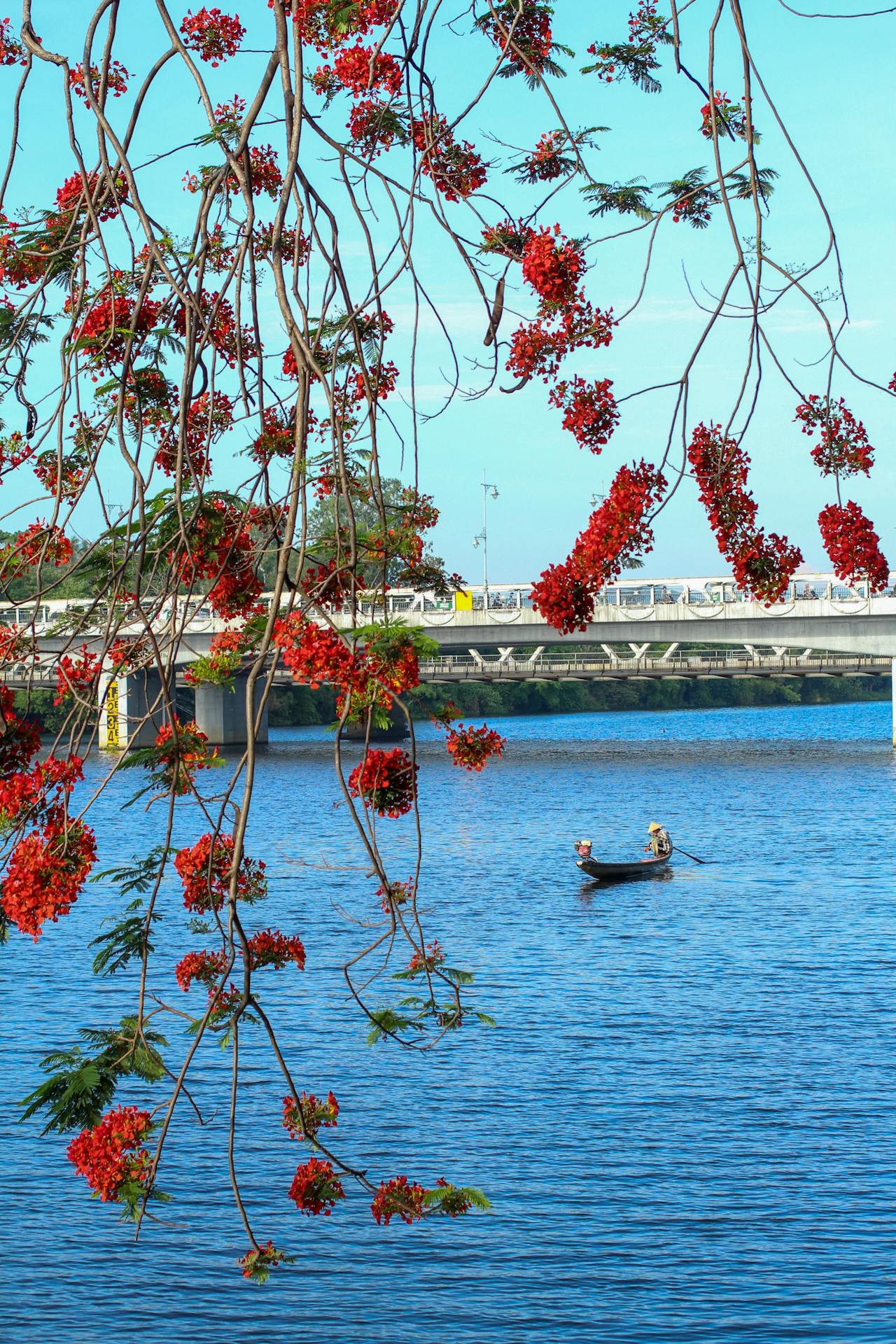 Chỉ số trí tưởng tượng là IQ mới