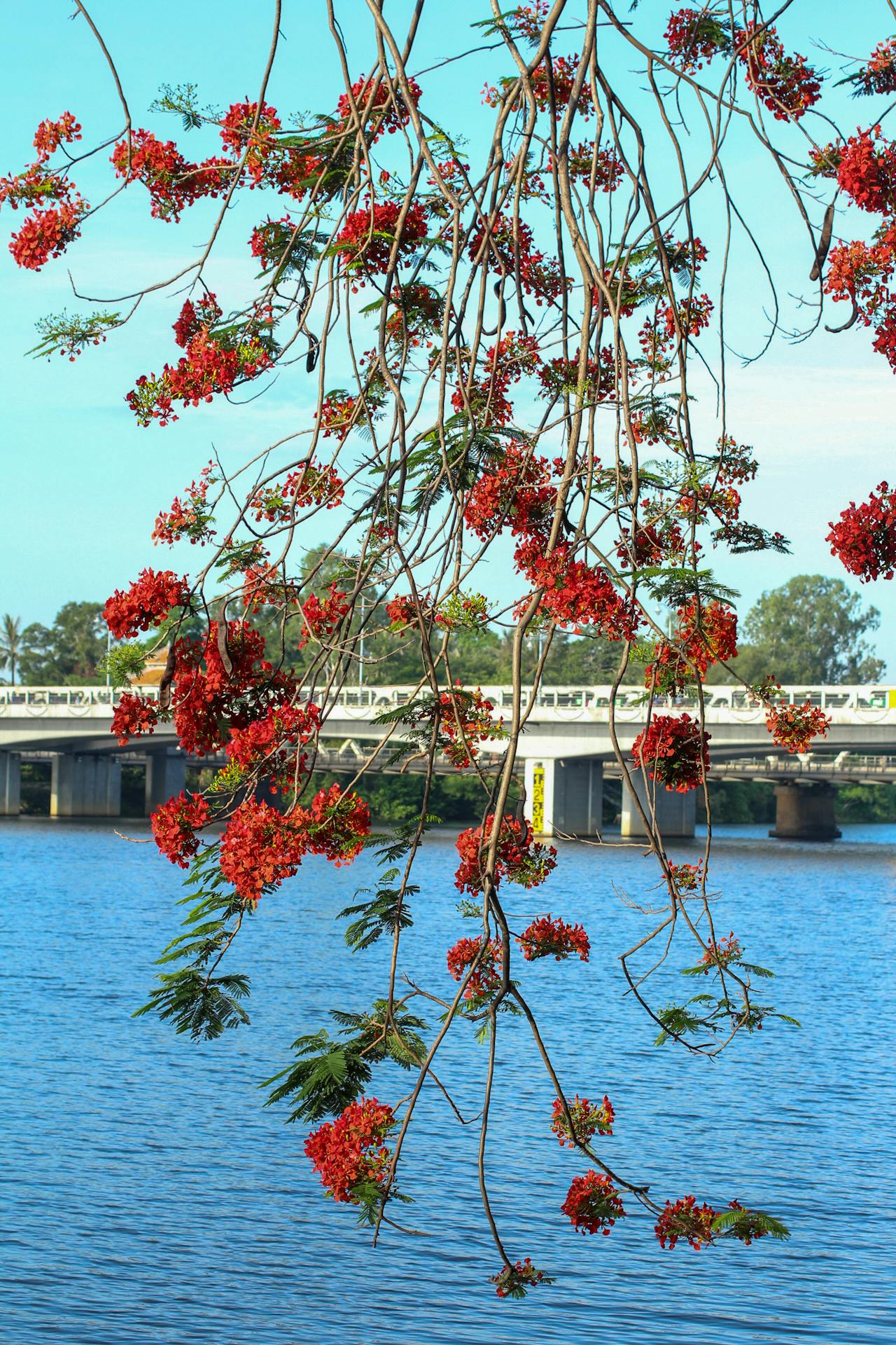Lựa chọn và sử dụng chế độ chụp ảnh hiệu quả