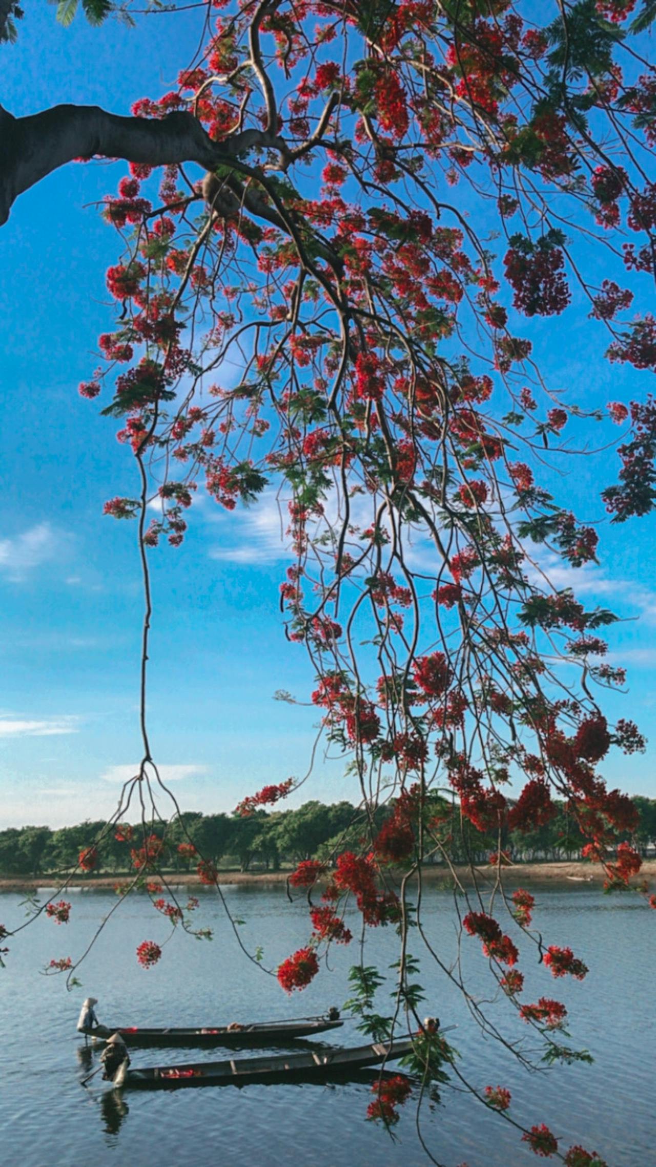 Google Ads và những lợi ích thiết thực cho khách sạn