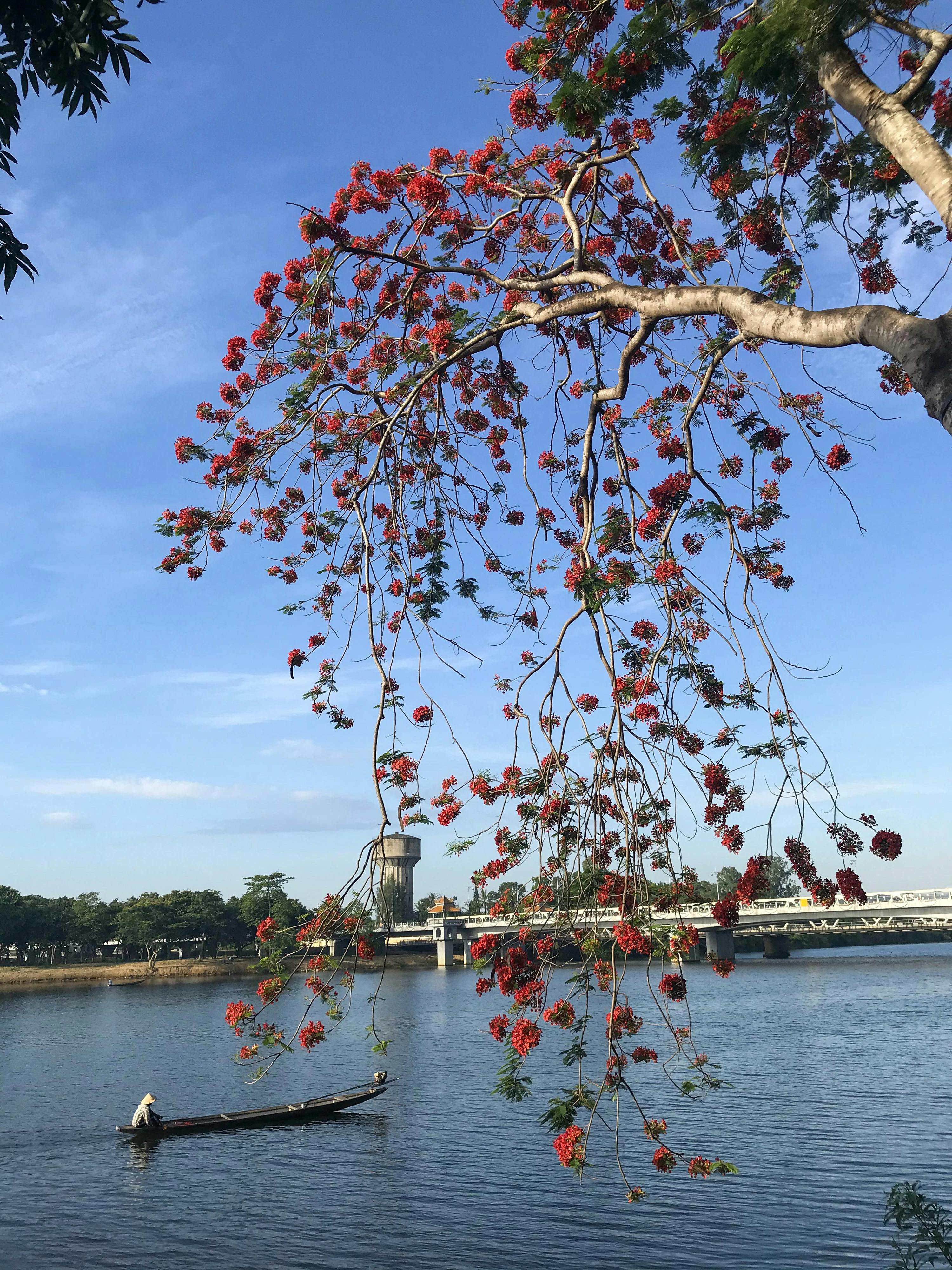 Xạ điêu anh hùng truyện | Chương 05