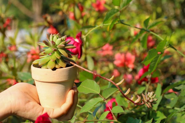 Trung tâm nghiên cứu văn học, phát triển nhà văn Việt Nam