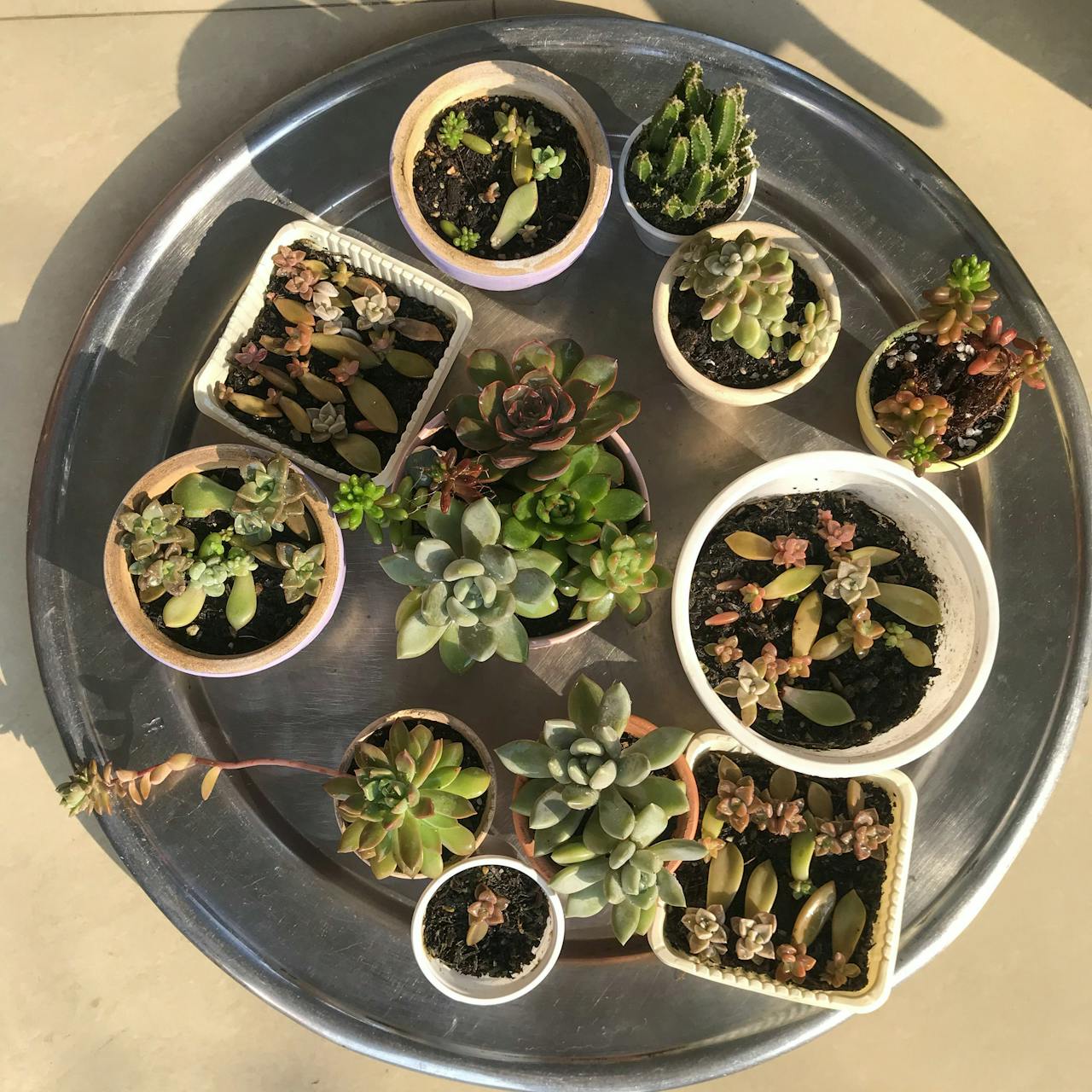 Nẻo vào thiền học | Chương 01