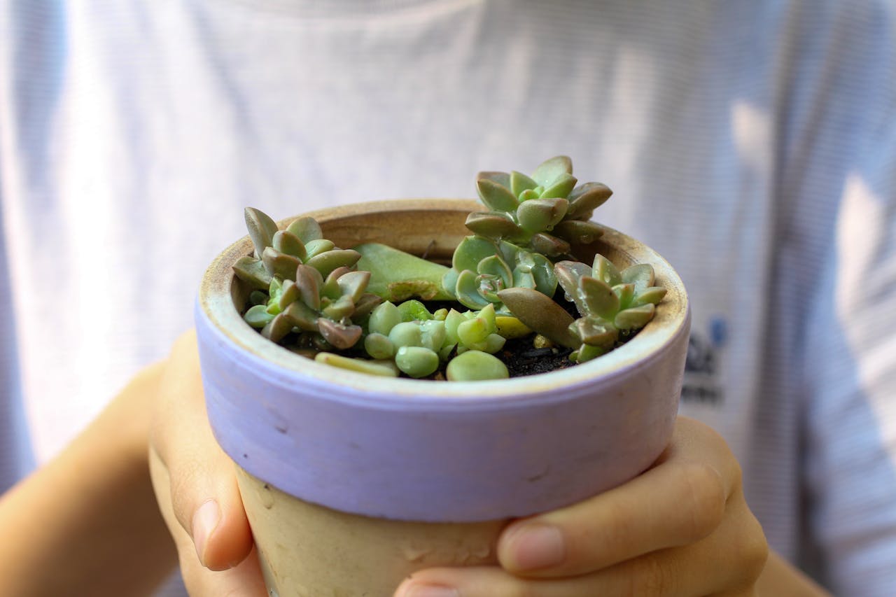 Gián điệp mạng | Chương 19