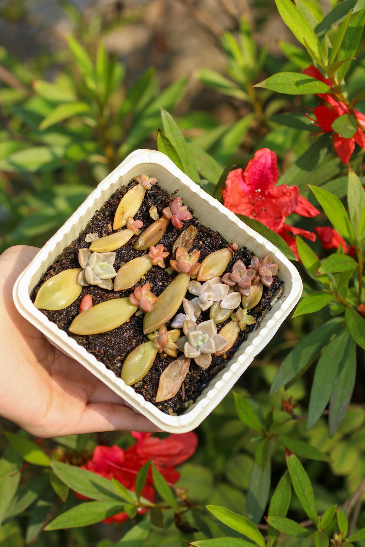 Thám tử lừng danh Conan | Chương 1086