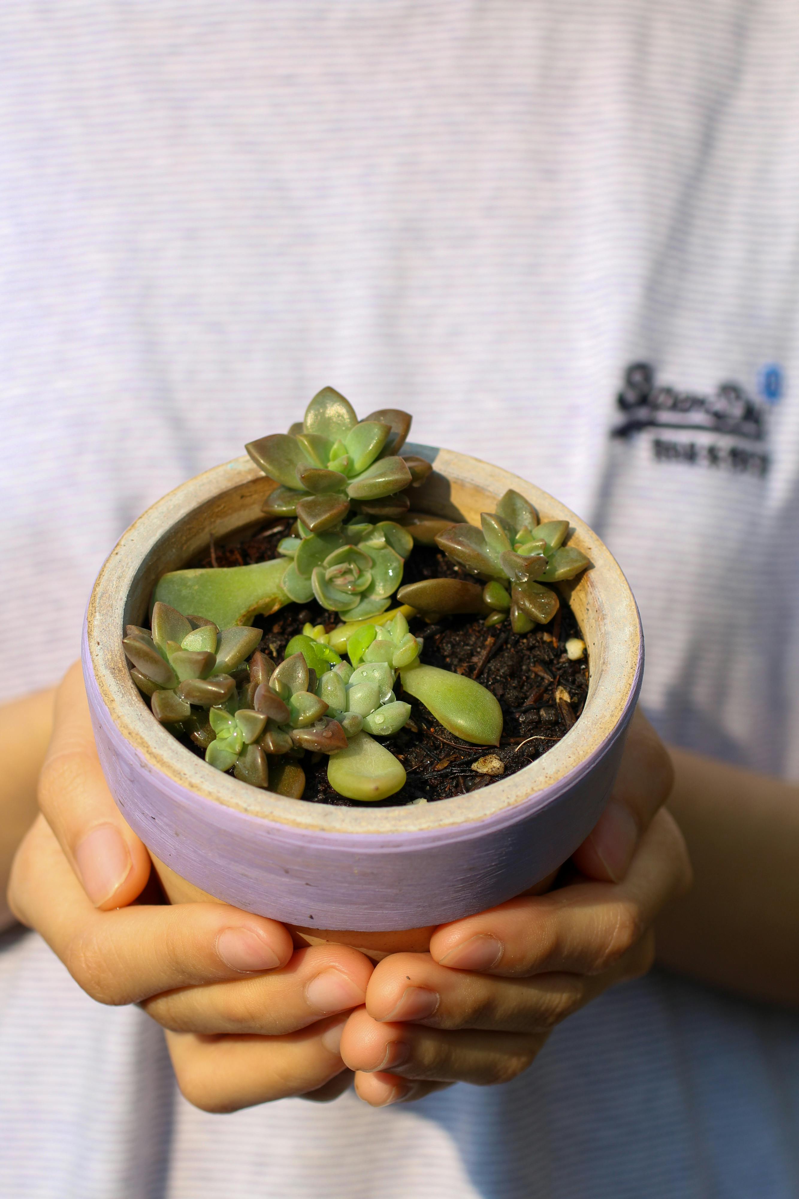 Con người đã tiến hóa để sống trong cái lạnh như thế nào?