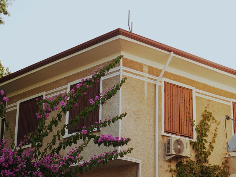 10 plantas de bajo mantenimiento para tu jardín en la Costa Blanca