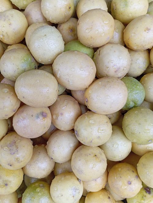 Free Close-up of fresh organic potatoes at a market in Pune, showcasing their natural textures and colors. Stock Photo