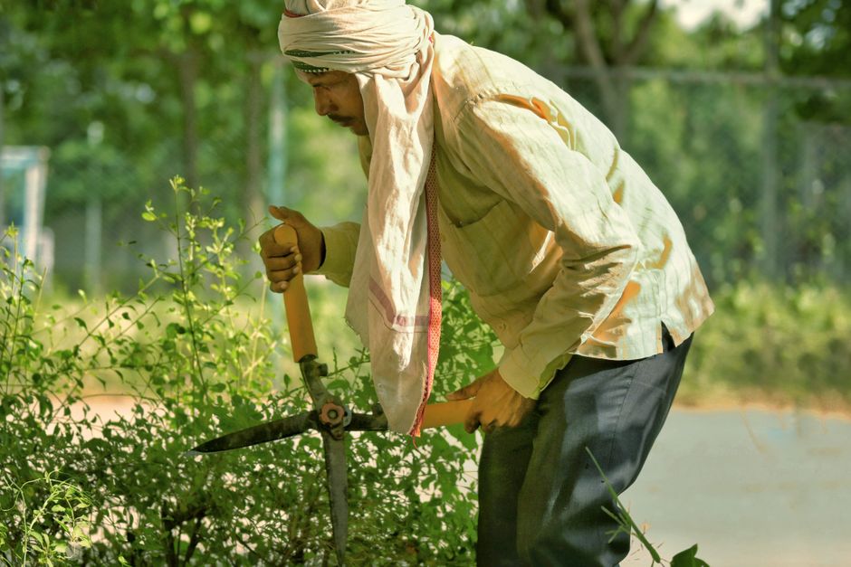 Gardener trimming garden bushes with electric hedge clippers — hedge trimming tools in Surrey BC