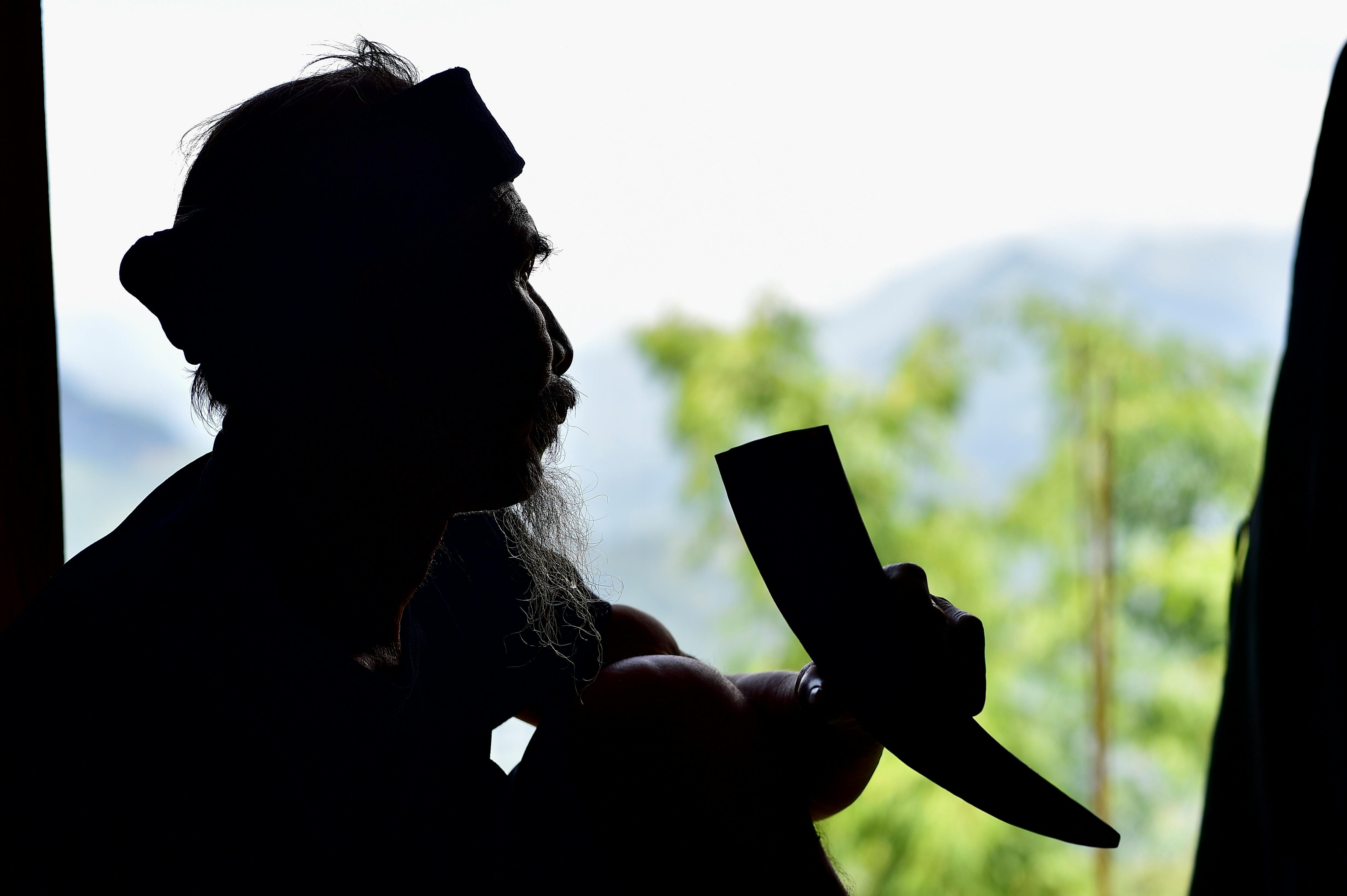 Gratuit Photos gratuites de à la demande, ancien, arbres Photos