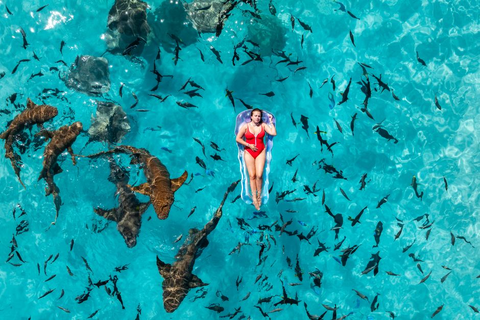 Are There Sharks In Mauritius