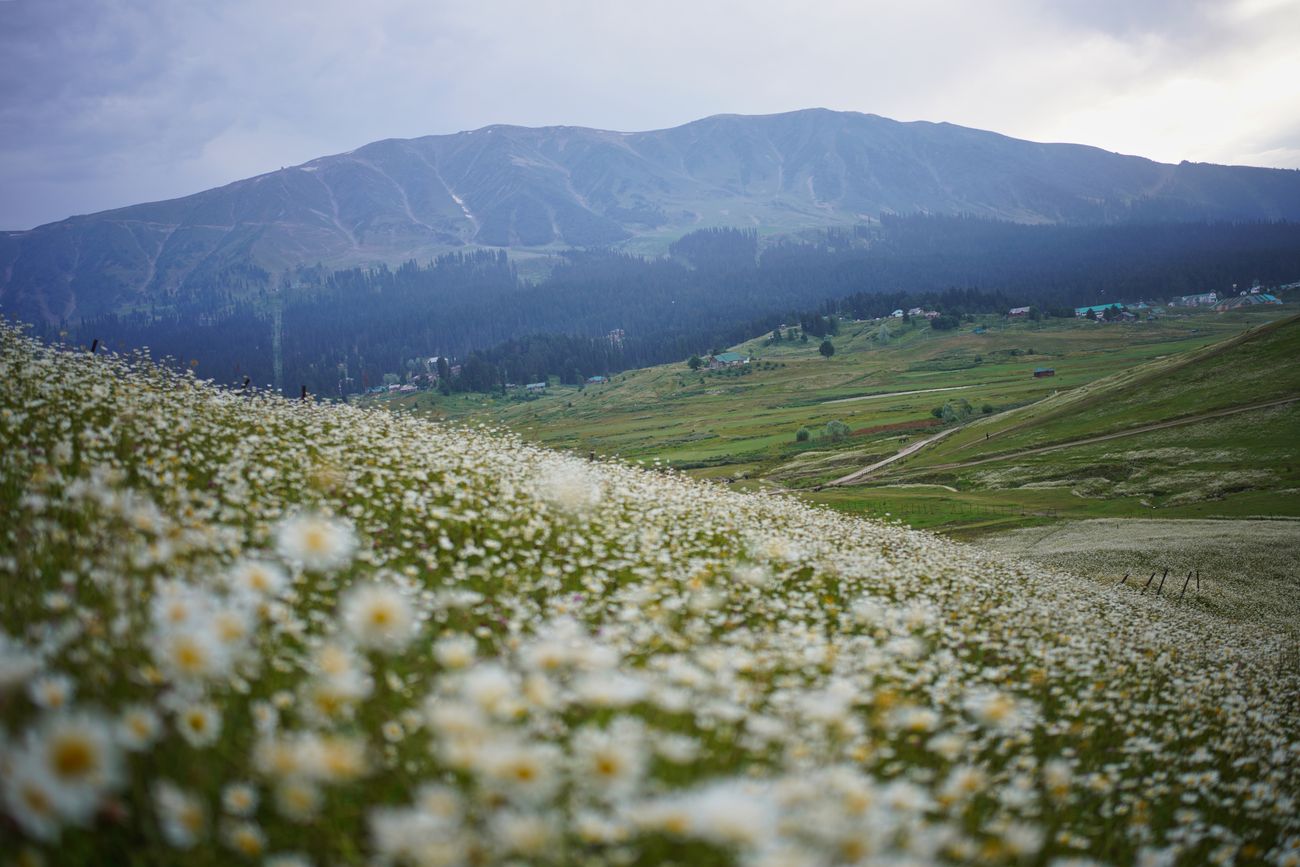 Kashmir Valley Family Explorer - 6 Days — photo 2 of 3