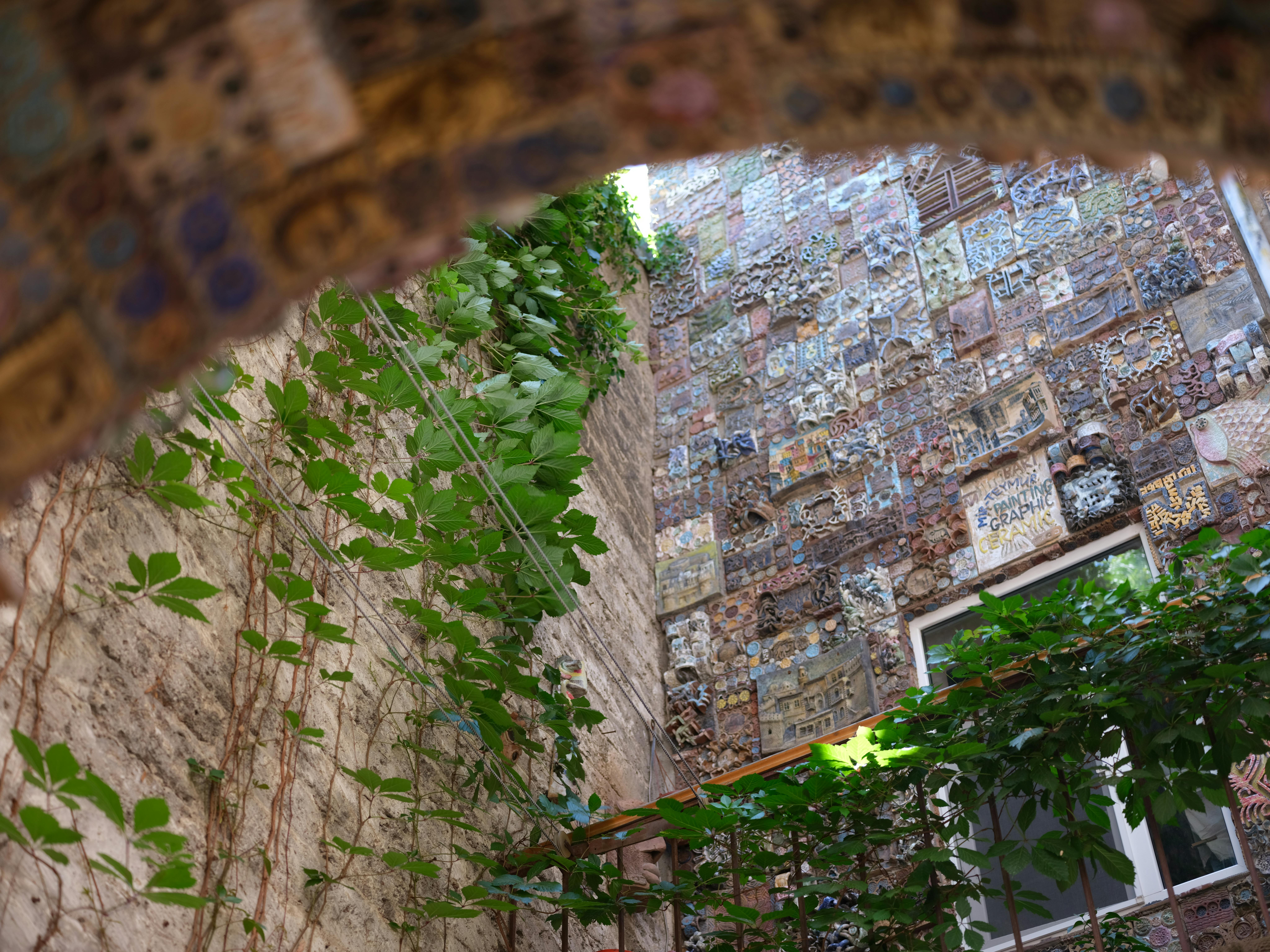 Exploring the Benefits of Green Spaces and Urban Forests