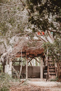 Explore a rustic wooden treehouse nestled in a serene forest, perfect for nature getaways.