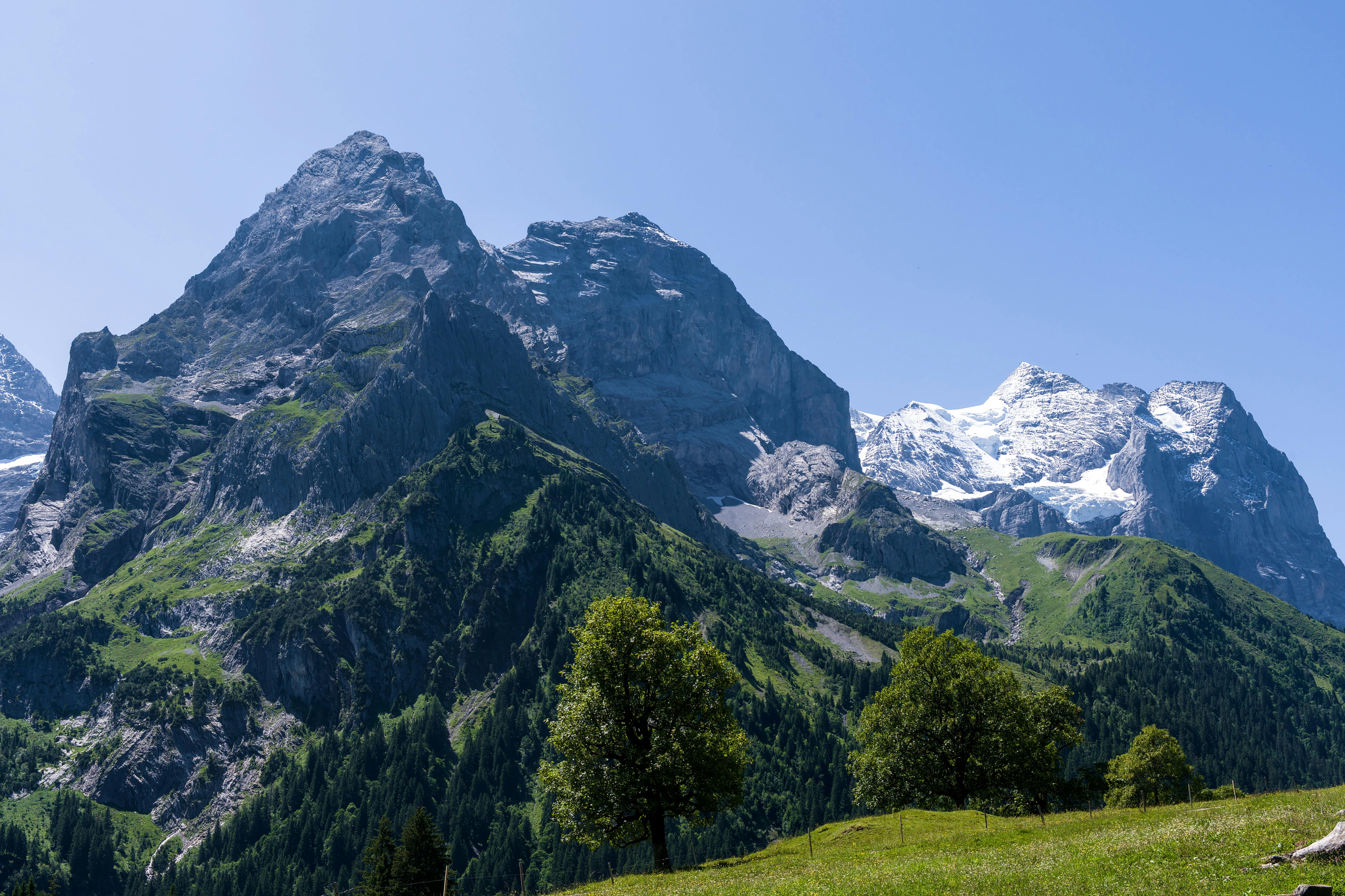 Breathtaking view of the Swiss Alps with lush greenery and snowy peaks.