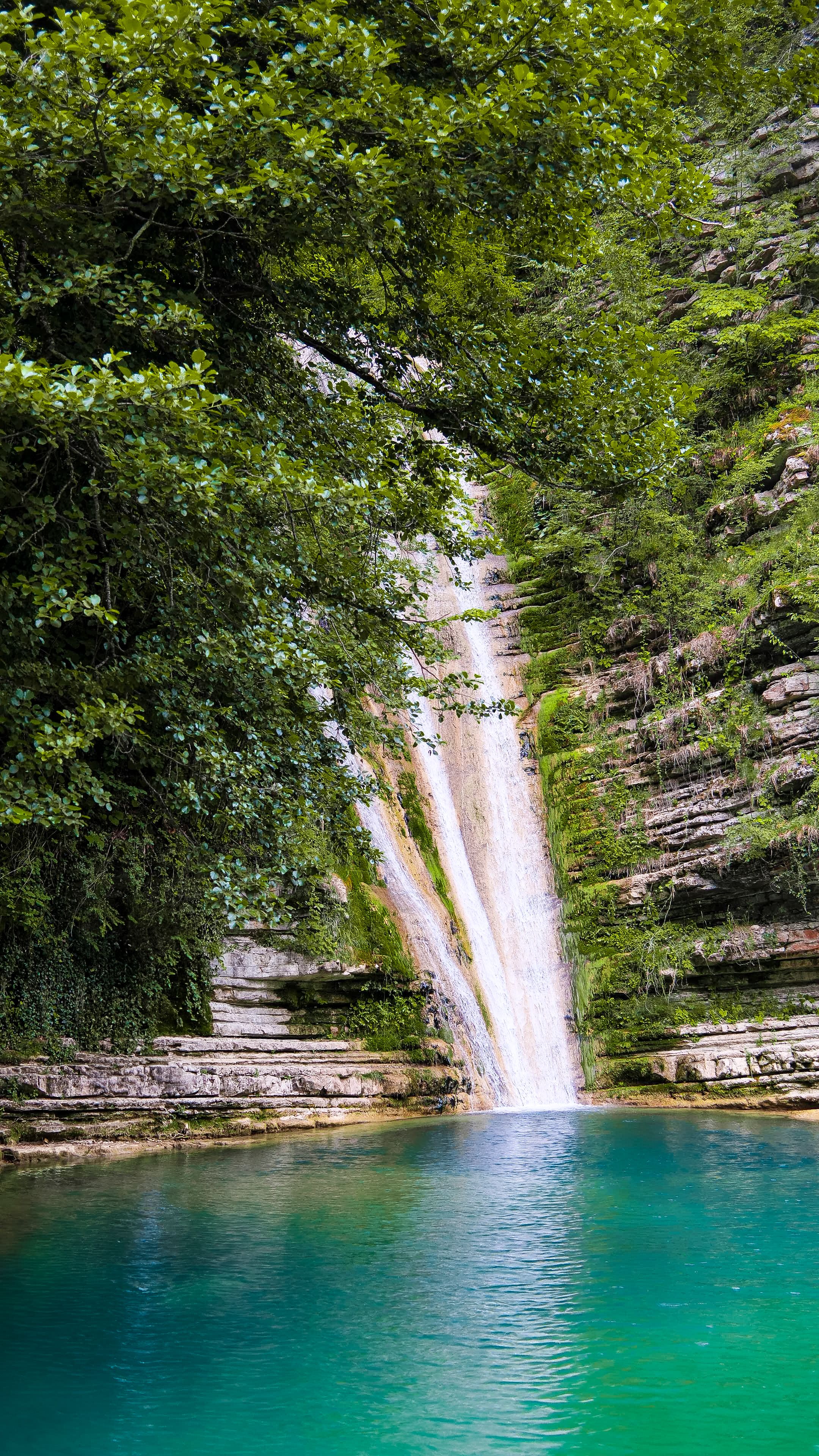 Serene Waterfall in Lush Forest Landscape · Free Stock Photo
