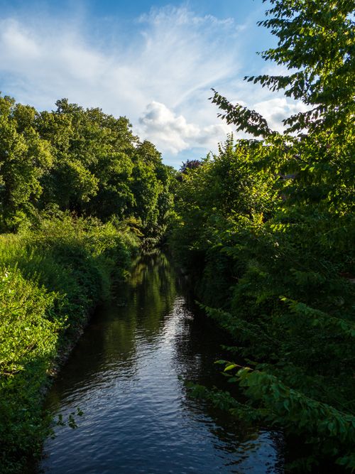 Free Tranquil river flowing through a vibrant green forest under a bright blue sky. Stock Photo