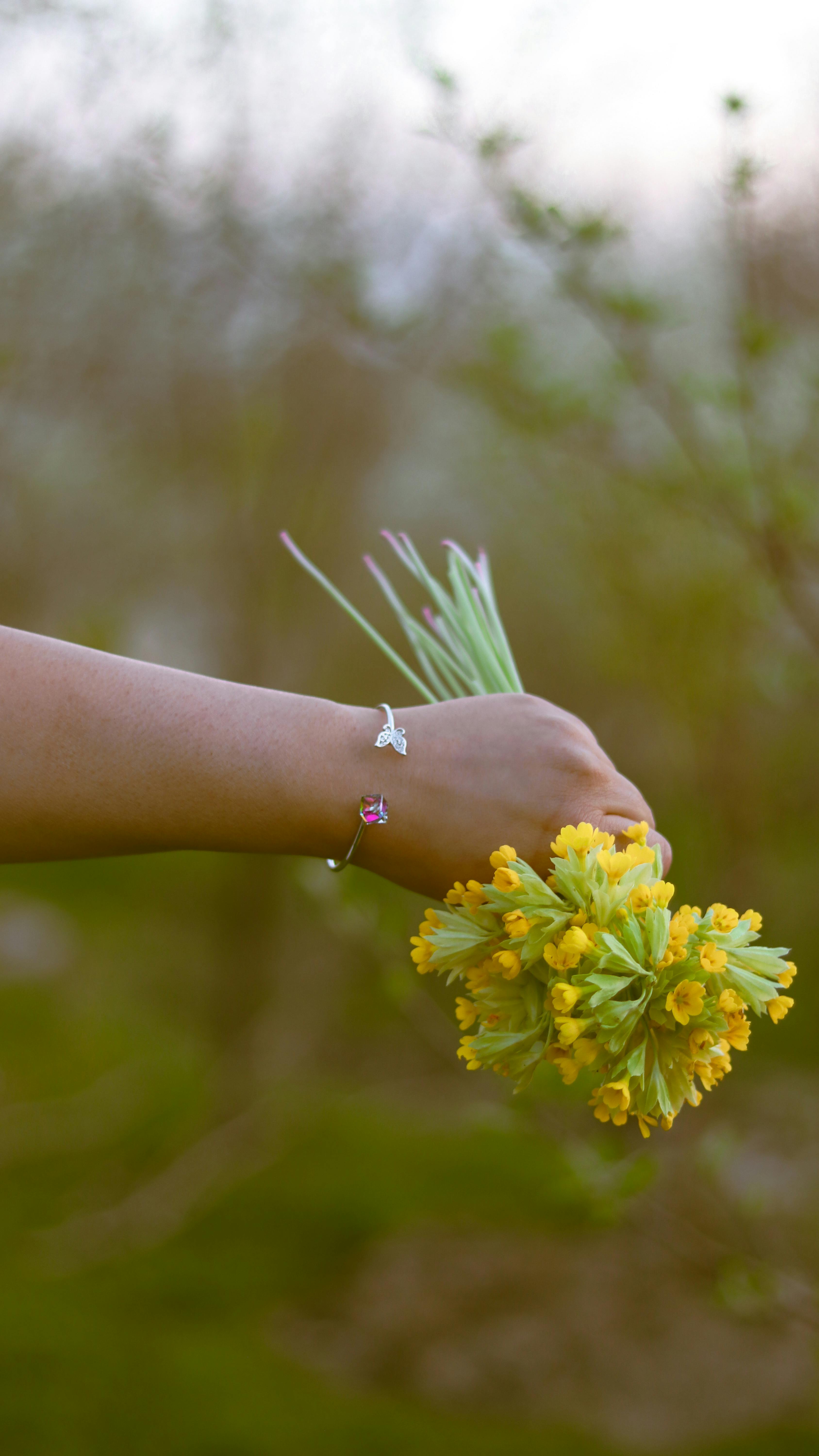 A close-up of a hand holding a vibrant bouquet of cowslip flowers outdoors in a spring setting.