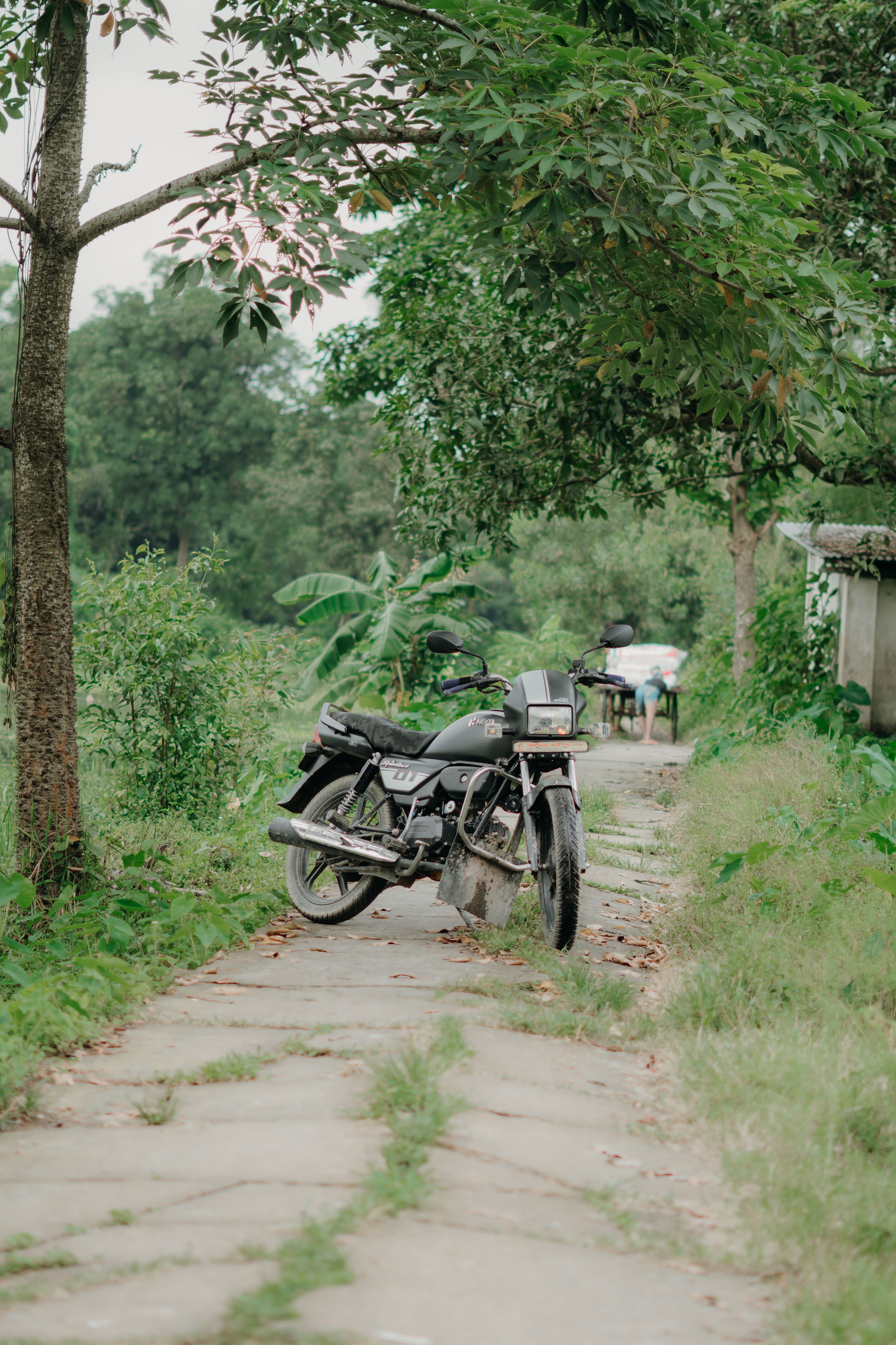 Vintage Motorcycle on a Leafy Pathway · Free Stock Photo