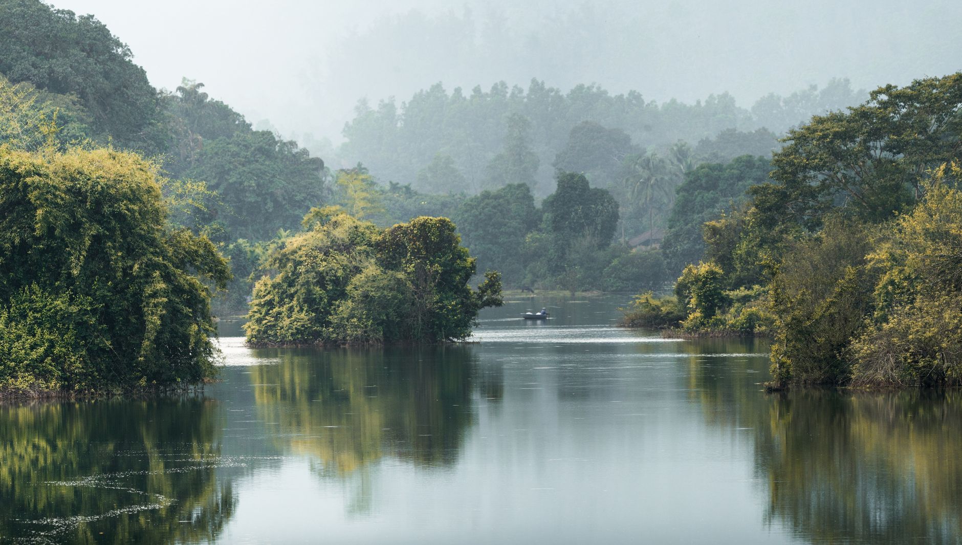 Best Time to Visit Coorg: Month-by-Month Guide
