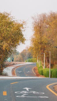 A tranquil bike path winds through lush trees in Dubai, perfect for a peaceful ride.