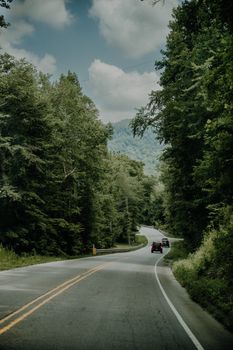 Curving road through dense green forest with mountains in the background, ideal for travel themes.