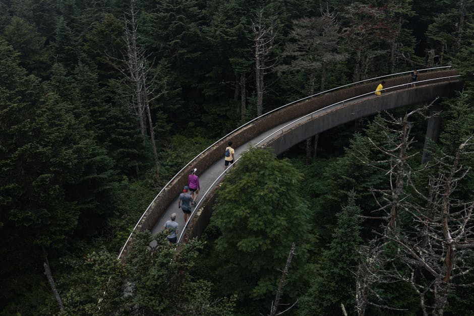 Free stock photo of alpes, arch, bridge in Quebrada in Argentina