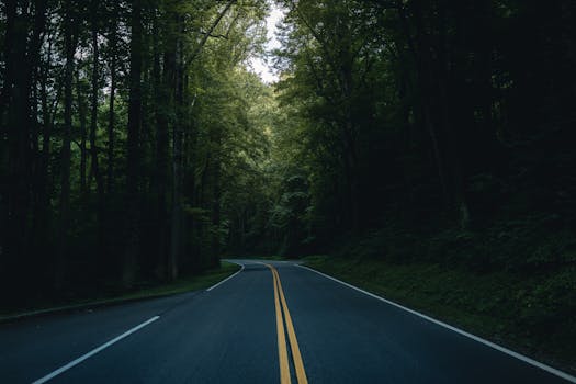 A peaceful road through dense green forest in Gatlinburg, captured during summer.