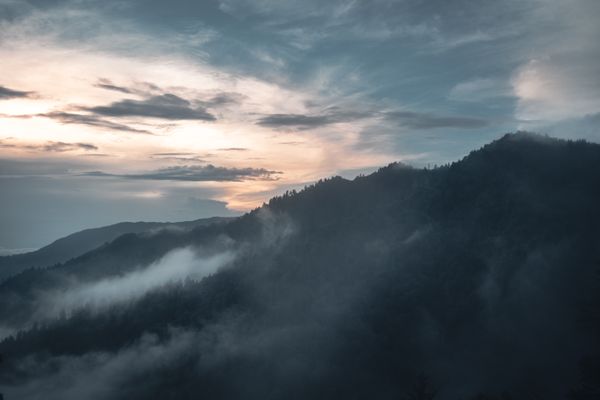 Misty forested ridges at dusk in soft light