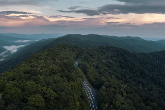 A breathtaking aerial view of a winding road through the lush Smoky Mountains at sunrise, perfect for adventure and travel themes.