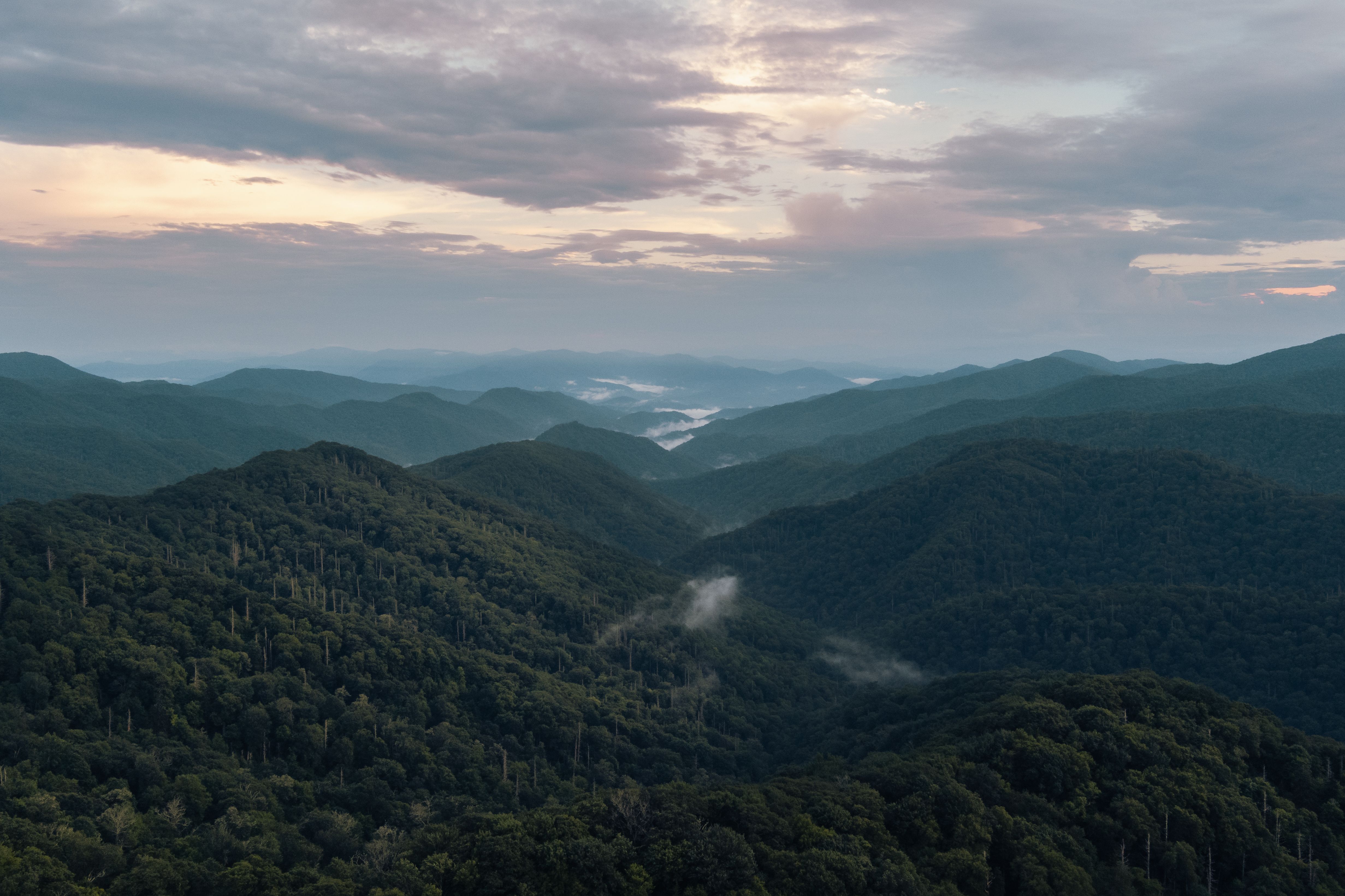 Gatlinburg (TN)