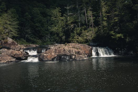 Tranquil waterfall surrounded by lush forest in Gatlinburg, ideal for nature lovers and travel enthusiasts.