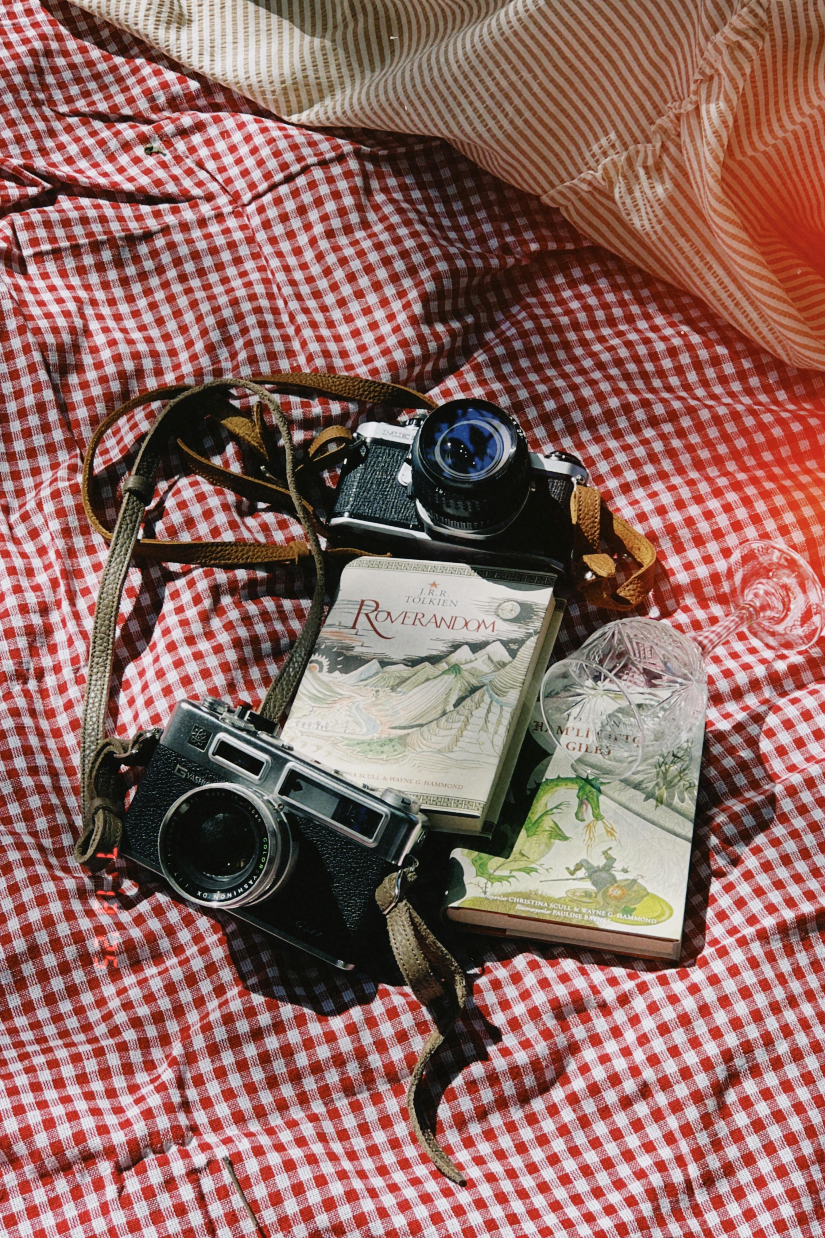 Two vintage cameras and a Tolkien book on a red checkered picnic blanket in sunlight.