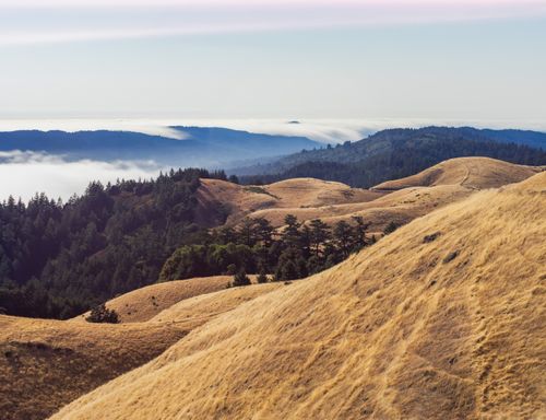 Free Golden hills and lush forests under a serene morning mist, captured at dawn. Stock Photo