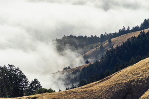 Free A misty landscape with rolling hills and dense forest, creating a serene and atmospheric scene. Stock Photo