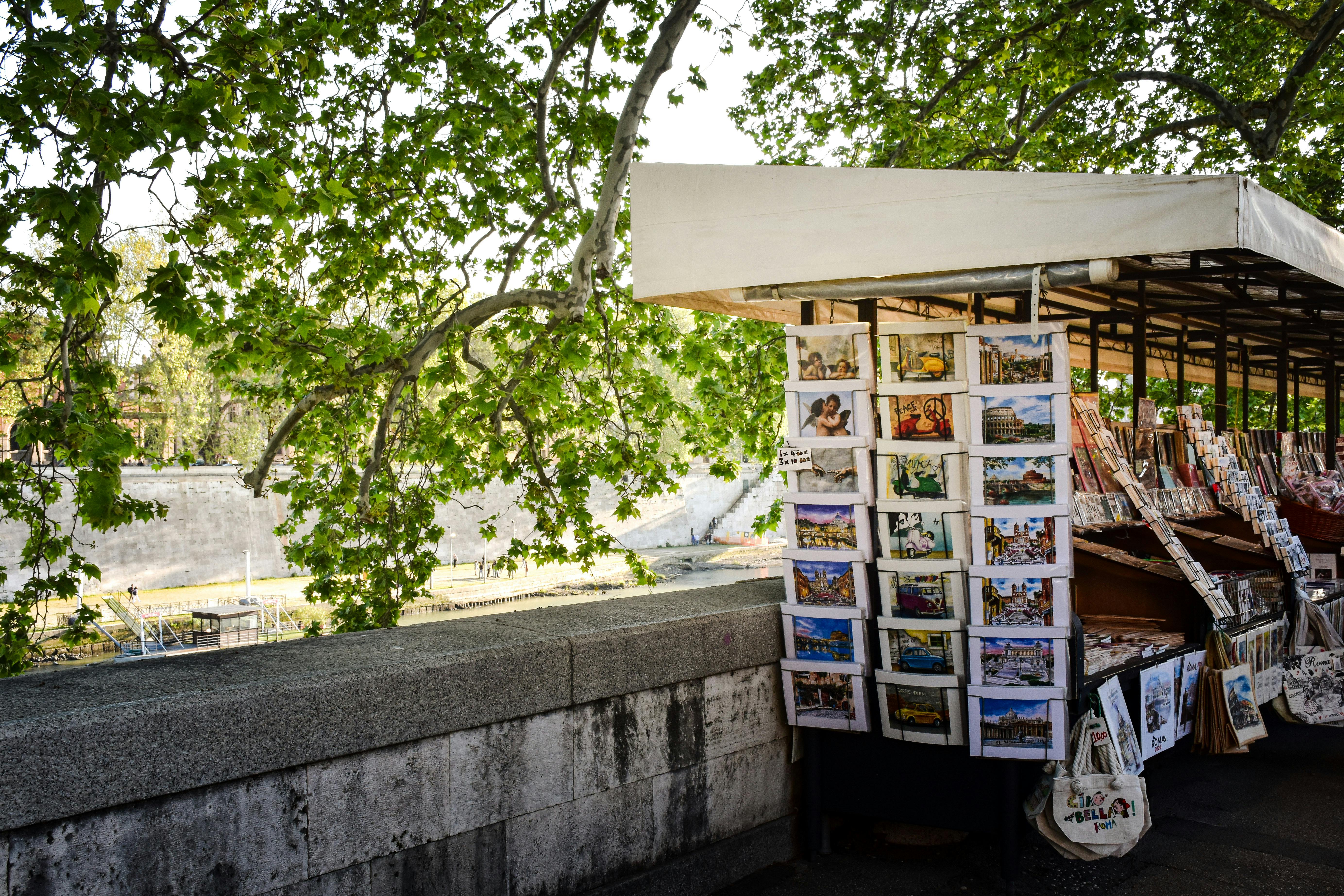 財經：為什麼旺宏的目標價飆升？記憶體市場的未來趨勢你需要了解