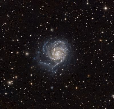 Repeating Fast Radio Burst Localized to Active Spiral Galaxy's Arm