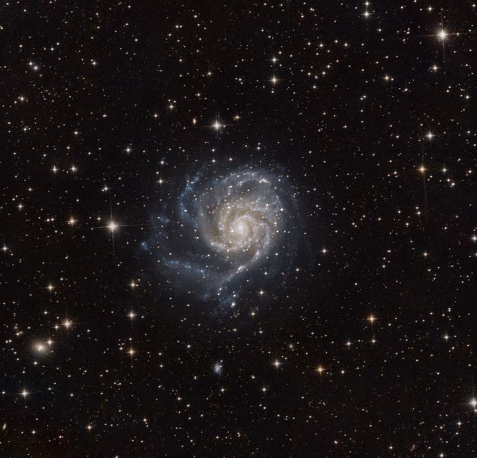 Repeating Fast Radio Burst Localized to Active Spiral Galaxy's Arm