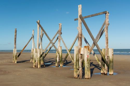Free A series of weathered wooden beams standing on a sandy beach against a blue sky. Stock Photo