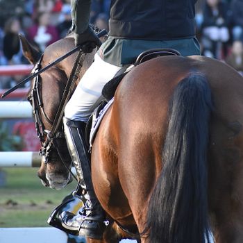 Why Use a Shoulder Rest?