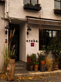 Cozy café entrance in Istanbul adorned with various potted plants, creating a welcoming atmosphere.